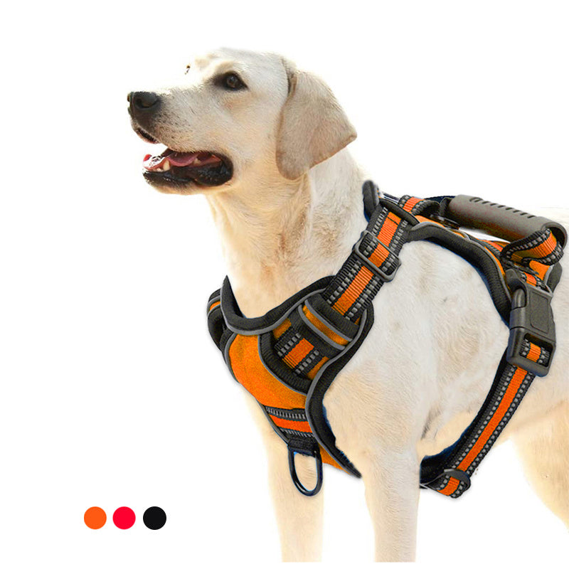 Hundegeschirr – Kein Ziehen, Atmungsaktiv und Reflektierend